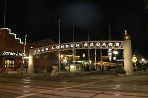 LOGO | Project Tags | STEVEN R. YOUNG, OCULARIST, INC.